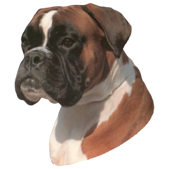 Matrica S 195 - Boxer 7cm