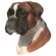 Matrica S 195 - Boxer 7cm