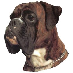 Matrica S 196 - Boxer 8cm