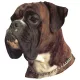 Matrica S 196 - Boxer 8cm