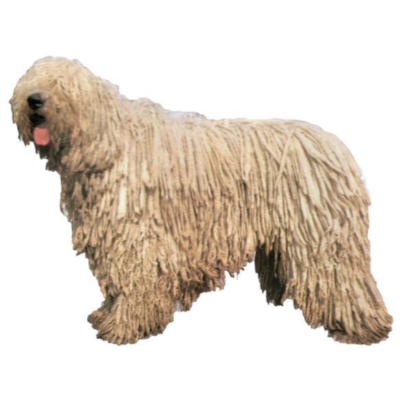 Matrica S 205 - Komondor 8cm