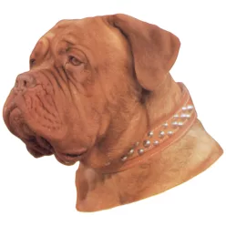 Matrica S 210 - Bordeaux-i dog 6cm