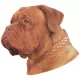 Matrica S 210 - Bordeaux-i dog 6cm