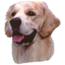 Matrica S 212 - Golden retriever 8cm