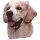 Matrica S 212 - Golden retriever 8cm