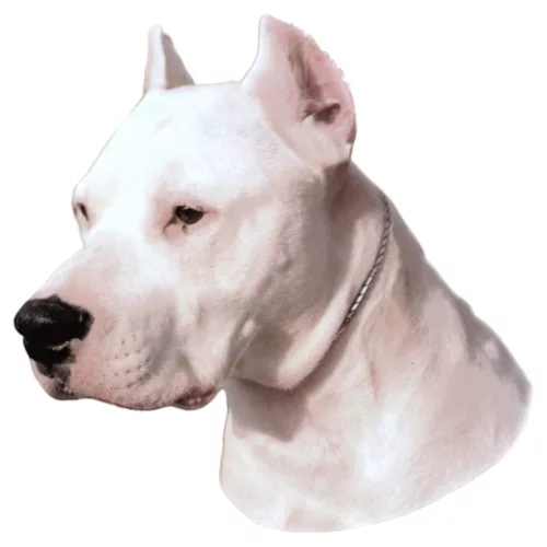 Matrica S 227 - Argentin dog 7cm