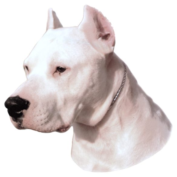 Matrica S 227 - Argentin dog 7cm
