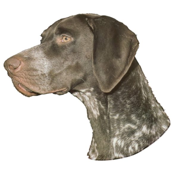 Matrica S 231 - Német vizsla 7cm