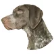 Matrica S 231 - Német vizsla 7cm