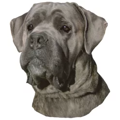Matrica S 241 - Cane corso 9cm
