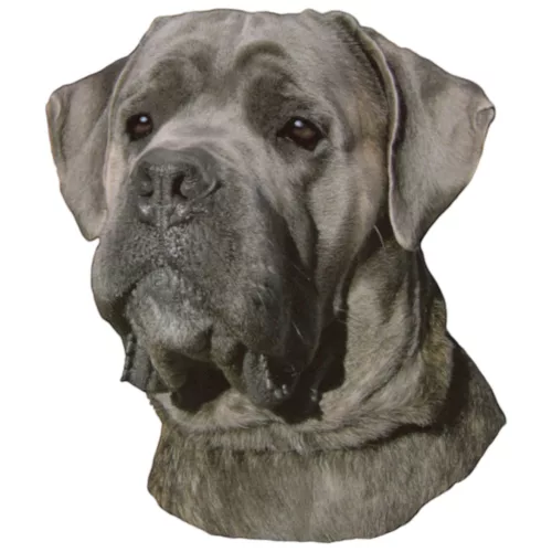 Matrica S 241 - Cane corso 9cm