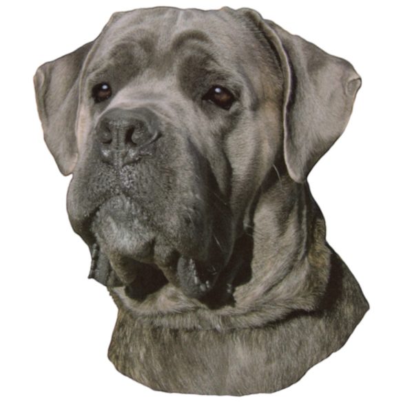 Matrica S 241 - Cane corso 9cm