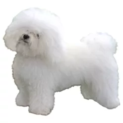 Matrica S 247 - Bolognai pincs (Bichon Bolognese) 8cm