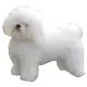 Matrica S 247 - Bolognai pincs (Bichon Bolognese) 8cm