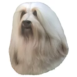 Matrica S 248 - Havannai pincs (Bichon havanese) 8cm