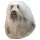 Matrica S 248 - Havannai pincs (Bichon havanese) 8cm