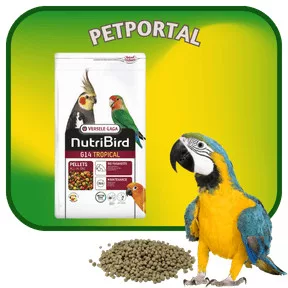 Madár pelletek és extrudált tápok