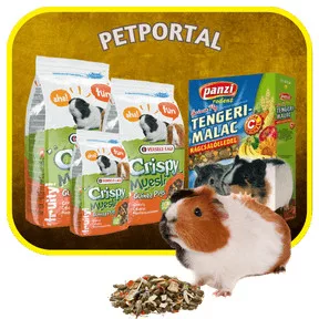 Tengerimalac eledelek