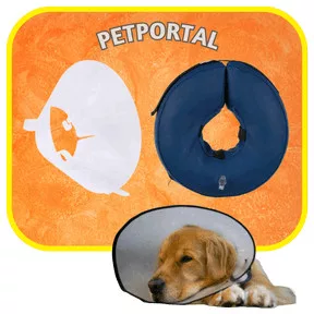 Védőgallérok kutyáknak