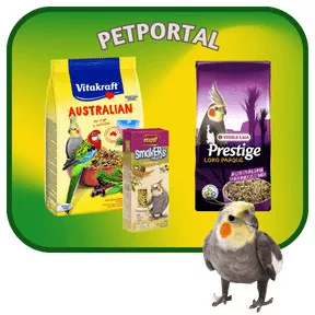 Középpapagáj (Nimfa) eleségek