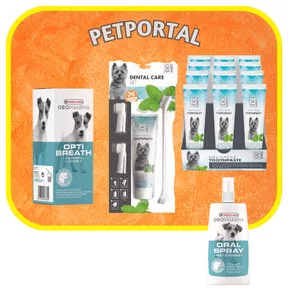 Fog és száj ápolás kutyáknak