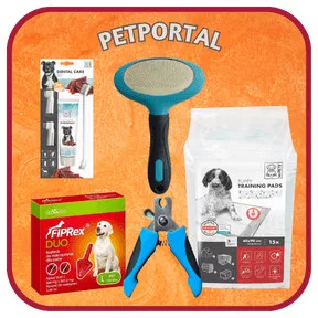 Higiénia és ápolás kutyáknak
