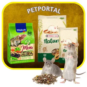 Patkány és Egér eledelek