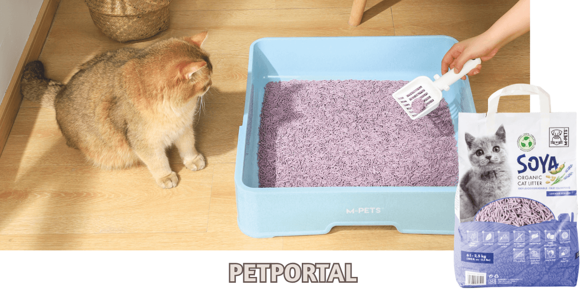 cat-litter-Blogban-kep-1200x600tiny.png